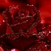 user5916875282021