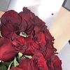 am_ir_aa4