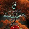 user6127116371518