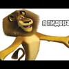 maximggyypol