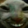 gehehej82