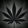 dx.ganja