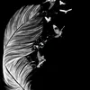 dugy65_g