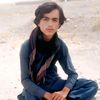 mujeeb.ur.rehman5020