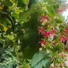 iqsur_a09