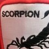 scorpion0325