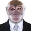 luizgustavogomesm6