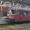 t._.dv