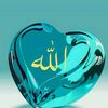 fathi4534