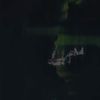 jhostindutan11