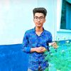 pitriraj12