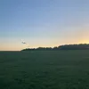 danielbm753