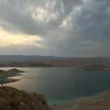 rahandmahdi8