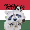 rakodaraccoon