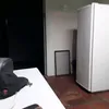 palsilva1