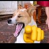 las_huevadas_xdd_1708