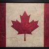canadian.attitude