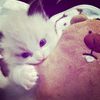 ilovesleeping_zzz
