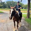 hannahandherhorses