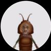 meza_nors