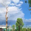 nhincaigihanhinhok
