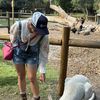 saii_australia