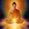 meditazioneyoga
