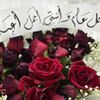 majda_hh