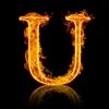 ub.classic1