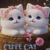 cutycat174015