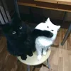 nexl1l