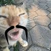 giiiilovlylaaaaarorrr