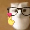 nexlly_2