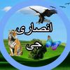 shahidofficial.8