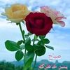 salah.mosbehi