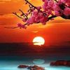 mona.abd.elhamed7
