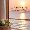 user539081656560