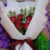 titin6652