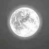 z.a6li