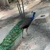 kkkkkkkkkkk06575