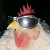 humorquebradobrasil