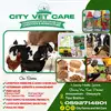 bukhari1cityvetcare
