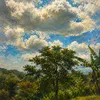 prisesa_456