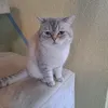 leonw.de.com