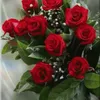 falahabd4
