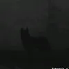_a.e.wolfman_