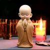 docteur traditionnel