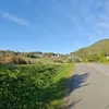 itsalicenatalie