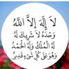 user6904276223203
