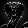 blackmambawild1